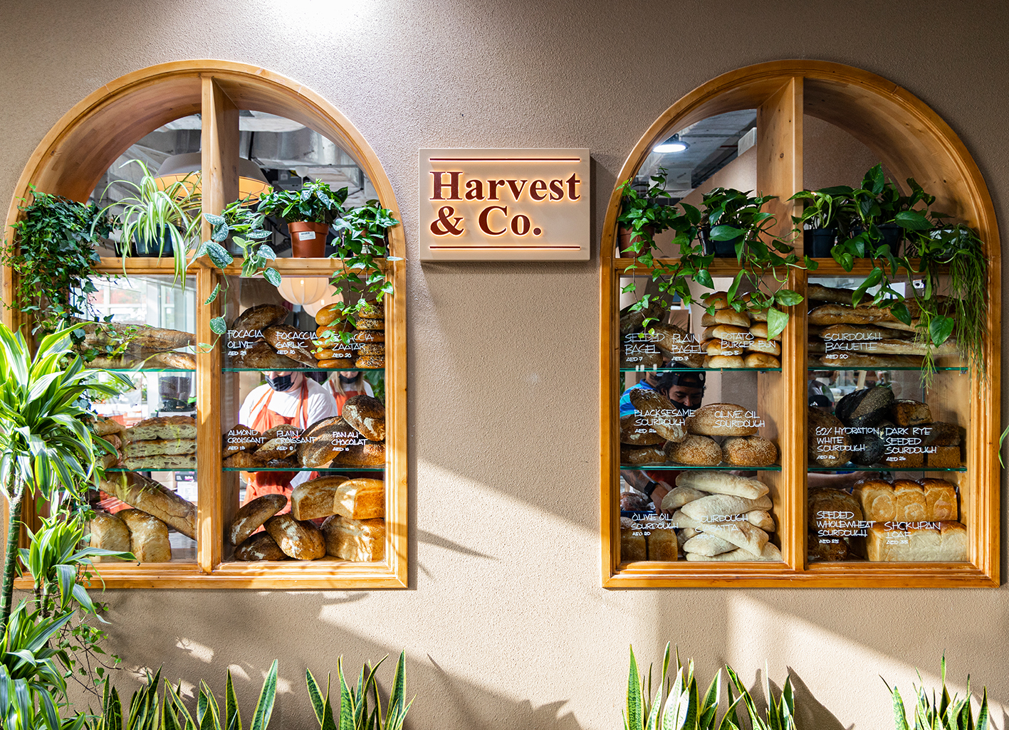 Harvest&Co. – EATX